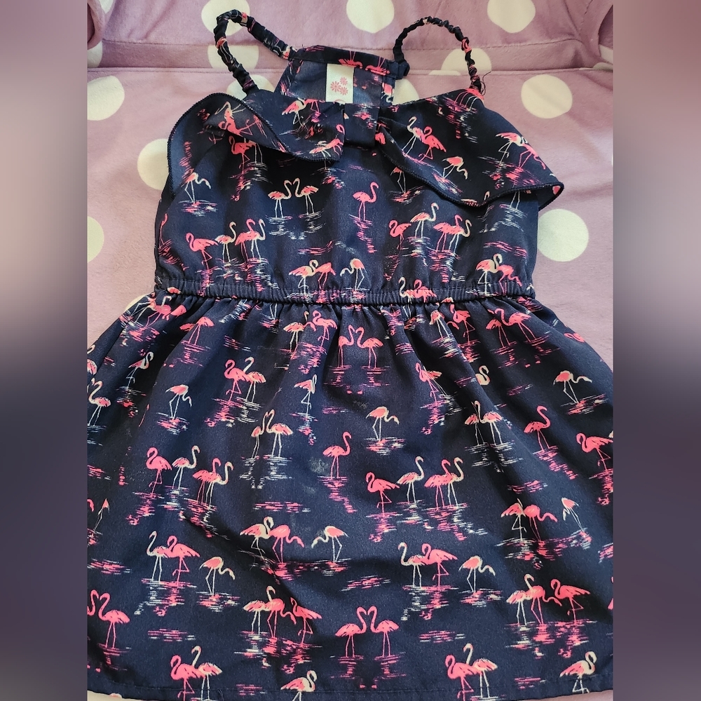 Cherokee blue and pink dress. It's a size 12 months.
